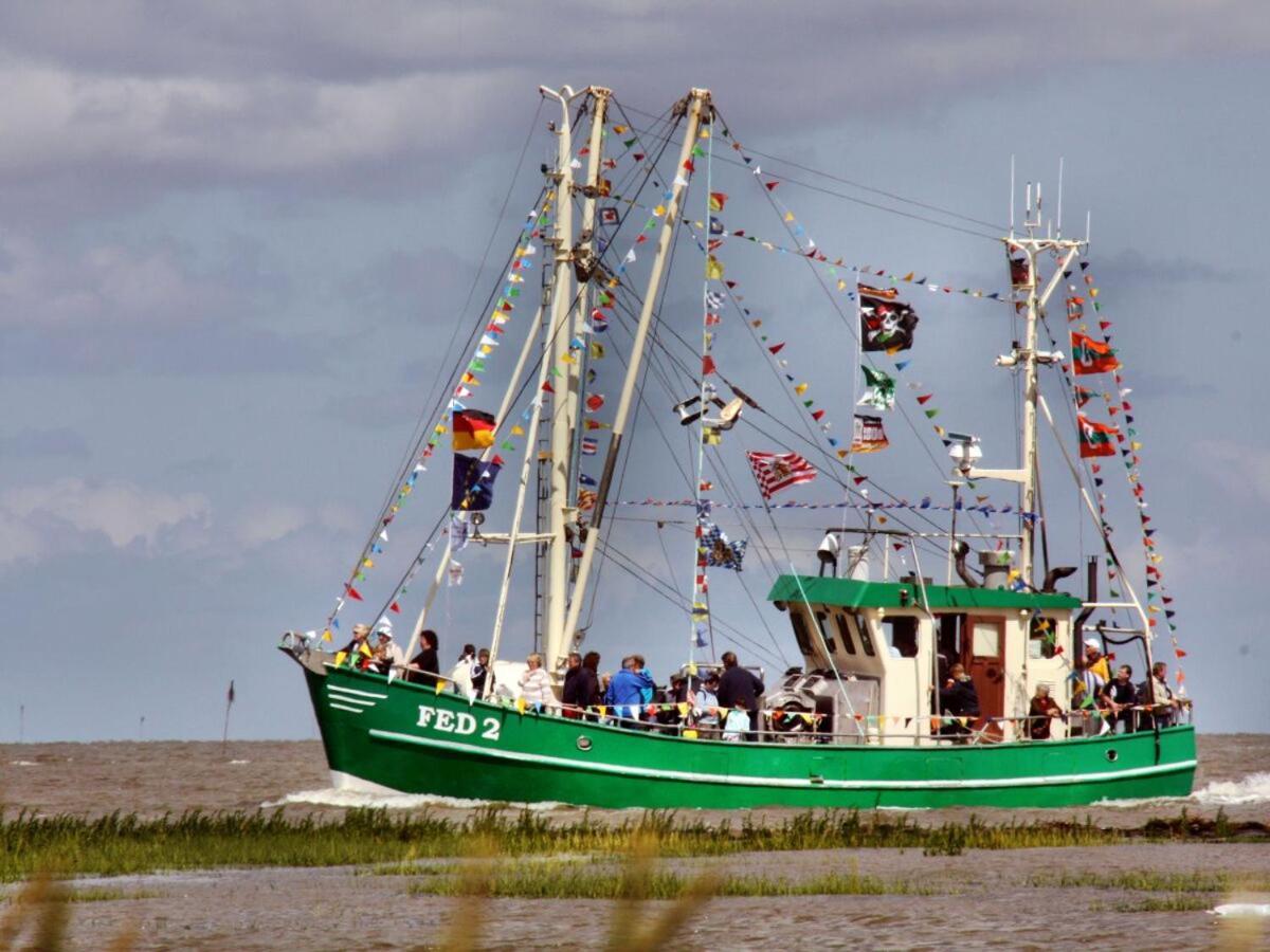 Ferienwohnung Hein Am Nordseedeich ブットヤーディンゲン エクステリア 写真