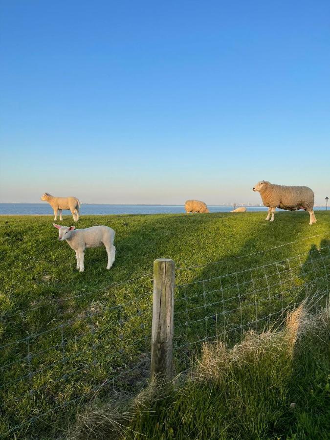 Ferienwohnung Hein Am Nordseedeich ブットヤーディンゲン エクステリア 写真