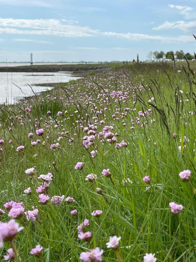 Ferienwohnung Hein Am Nordseedeich ブットヤーディンゲン エクステリア 写真